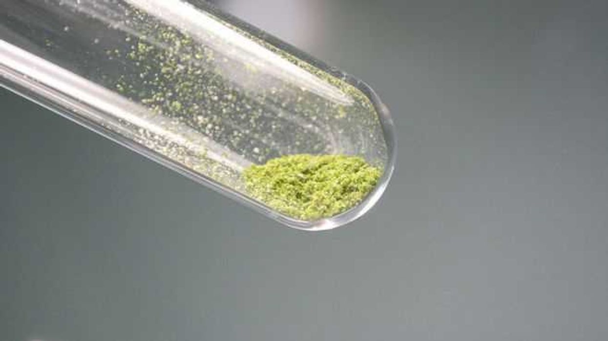 Científico estudia microalgas para combatir contaminación en el agua