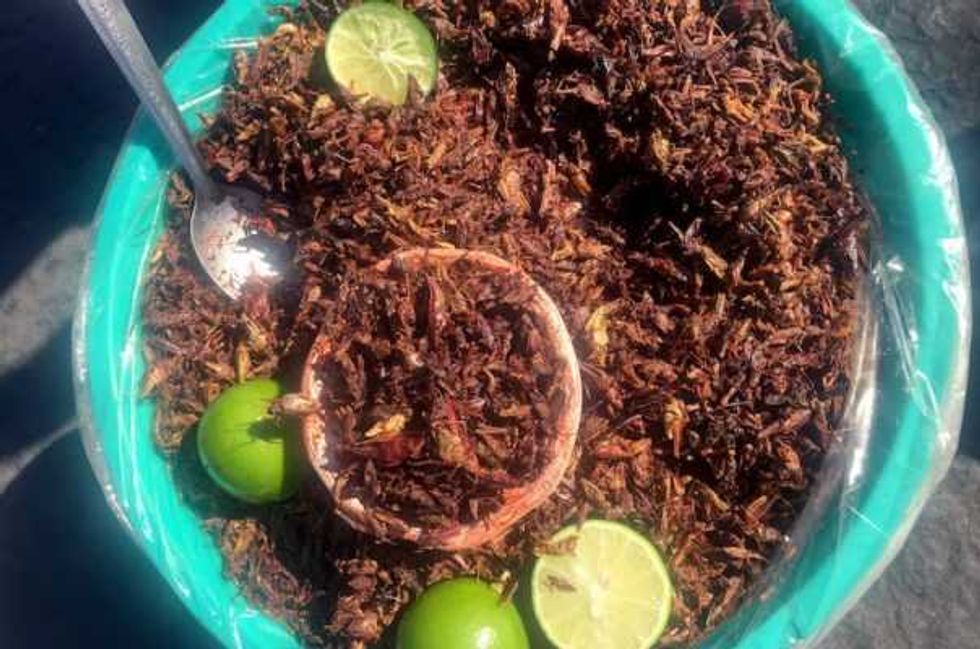 ciudad mexico la capital la botana callejera 3