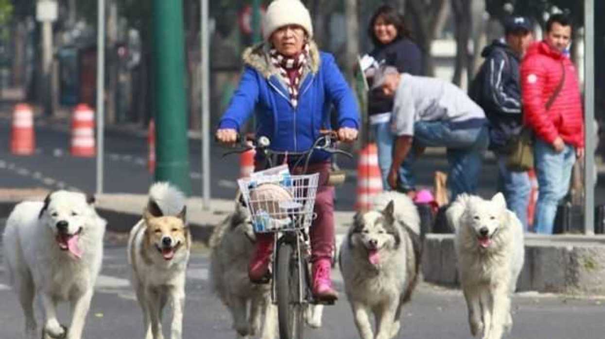 ciudad-mexico-sera-sede-del-sexto-foro-la-bicicleta