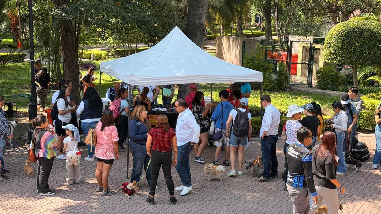 Ciudadanos con mascotas hacen fila en la jornada de bienestar animal gratuita del Municipio de Querétaro.