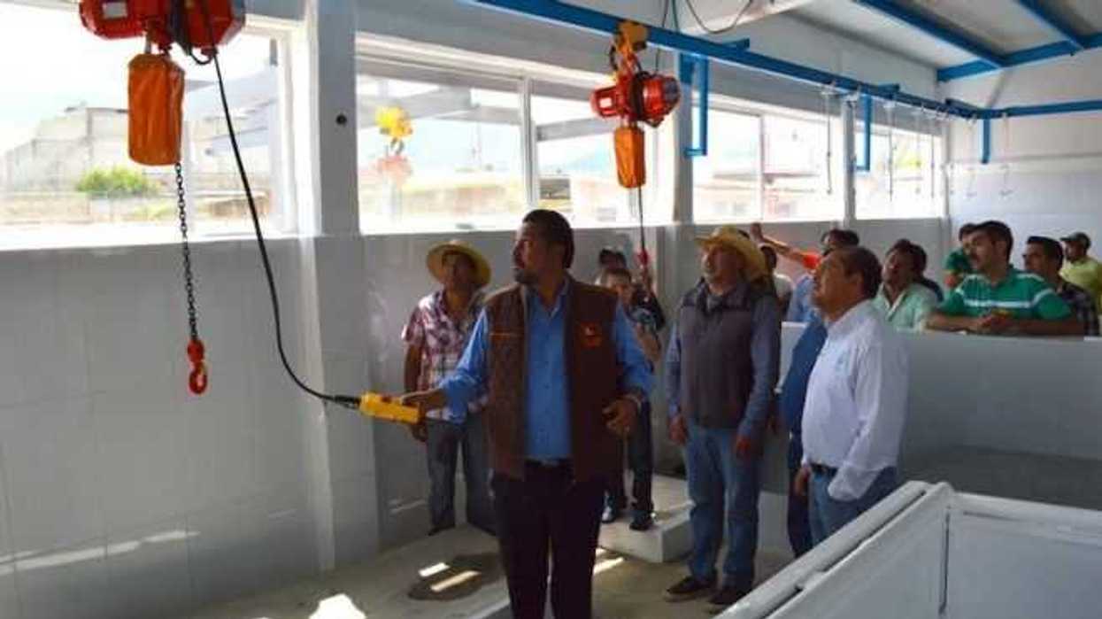 clausuran-en-queretaro-10-casas-matanza-clandestinas