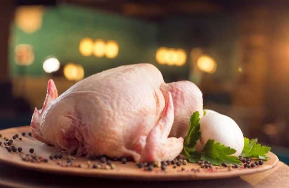 clave para tener huevo y carne de pollo saludable 2