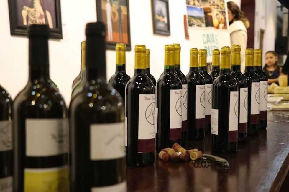 color aroma y sabores del vino en san juan del rio 2