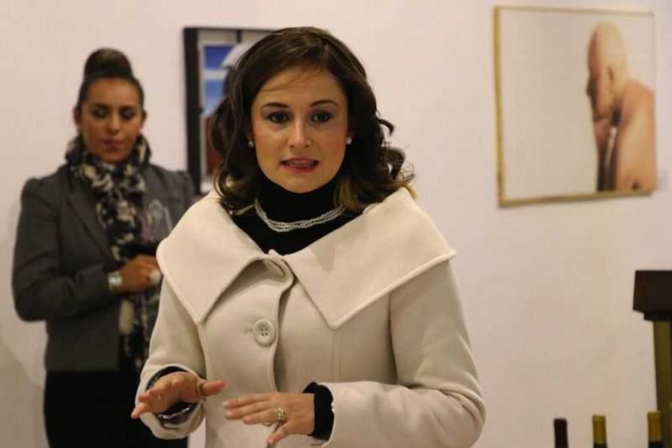 color aroma y sabores del vino en san juan del rio