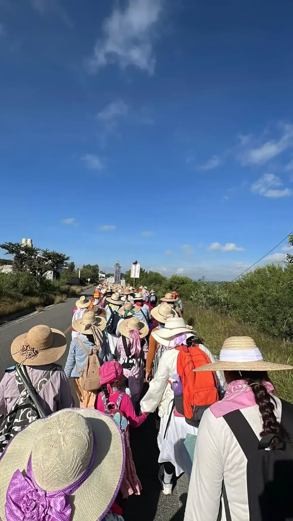 Columnas de peregrinos queretanos caminan hacia San Juan del R\u00edo en su trayecto anual hacia la Bas\u00edlica de Guadalupe en el Tepeyac