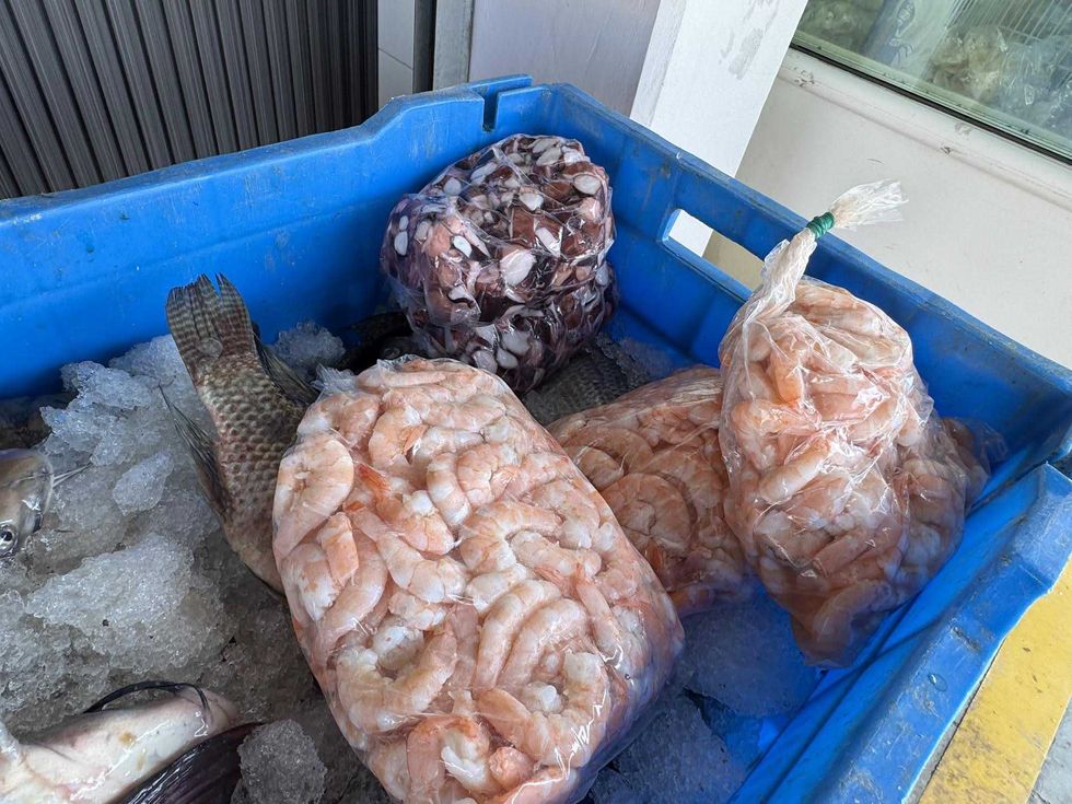 Comerciante muestra mariscos frescos de Sinaloa en bodega de la Xentral de Abastos de San Juan del R\u00edo durante la temporada de Cuaresma 2026, con mojarra y camar\u00f3n a precios accesibles
