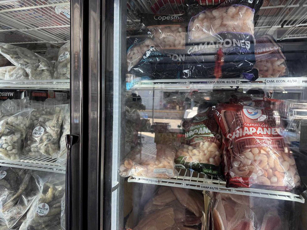 Comerciante muestra mariscos frescos de Sinaloa en bodega de la Xentral de Abastos de San Juan del R\u00edo durante la temporada de Cuaresma 2026, con mojarra y camar\u00f3n a precios accesibles