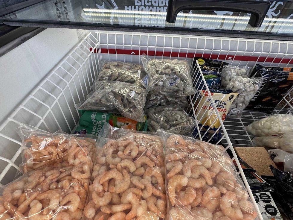 Comerciante muestra mariscos frescos de Sinaloa en bodega de la Xentral de Abastos de San Juan del R\u00edo durante la temporada de Cuaresma 2026, con mojarra y camar\u00f3n a precios accesibles