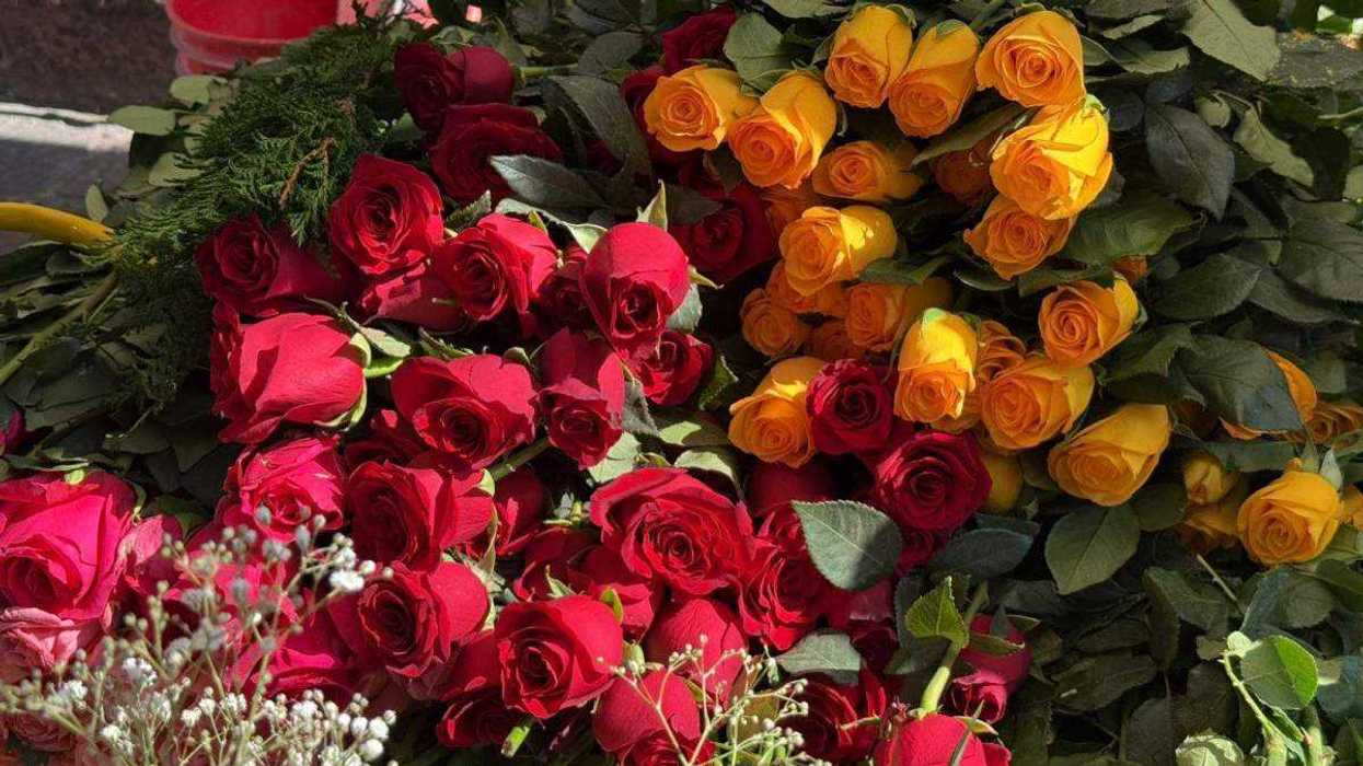 Comerciantes de flores reportan baja afluencia en Templo de La Congregación durante celebración guadalupana en Querétaro.