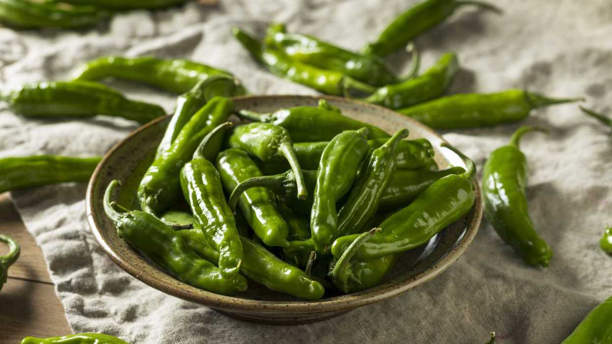 Comerciantes ofrecen chile serrano y verduras frescas en Xentral de Abastos San Juan del Río Querétaro con precios competitivos