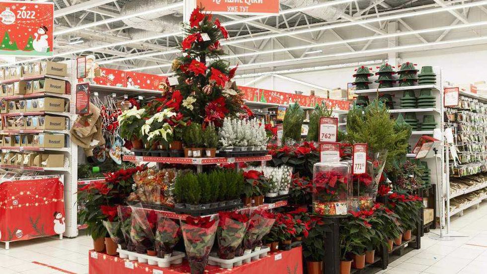 Comercio local de San Juan del Río exhibe árboles de navidad, nochebuenas artificiales y artículos decorativos para temporada 2025.