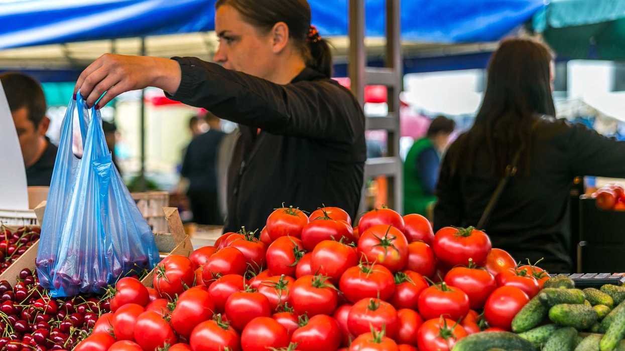 Comparativo de desocupación femenina y masculina en México en diciembre 2025