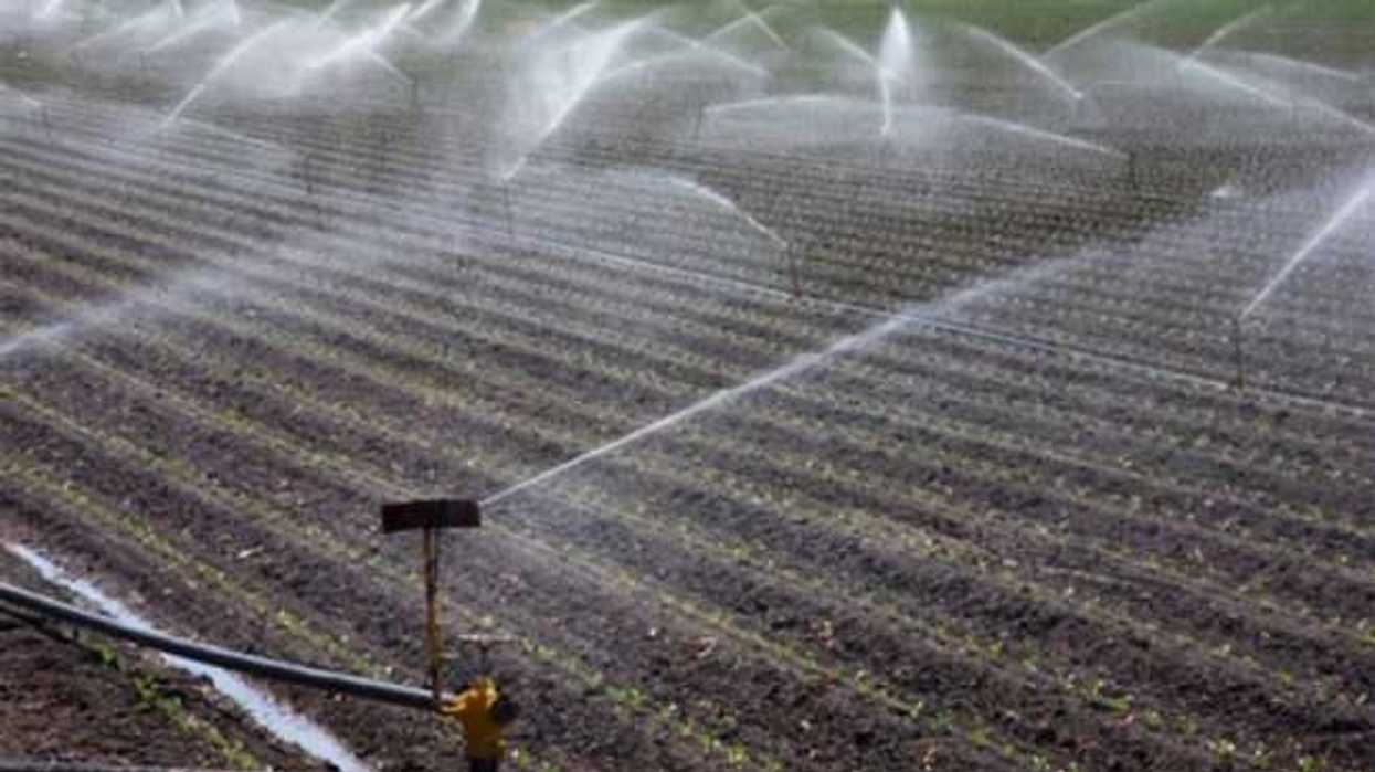 conagua-garantiza-tener-agua-para-cultivos-en-tlaxcala