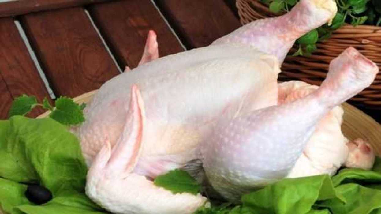 confirma-brasil-devolucion-britanica-de-pollo-contaminado