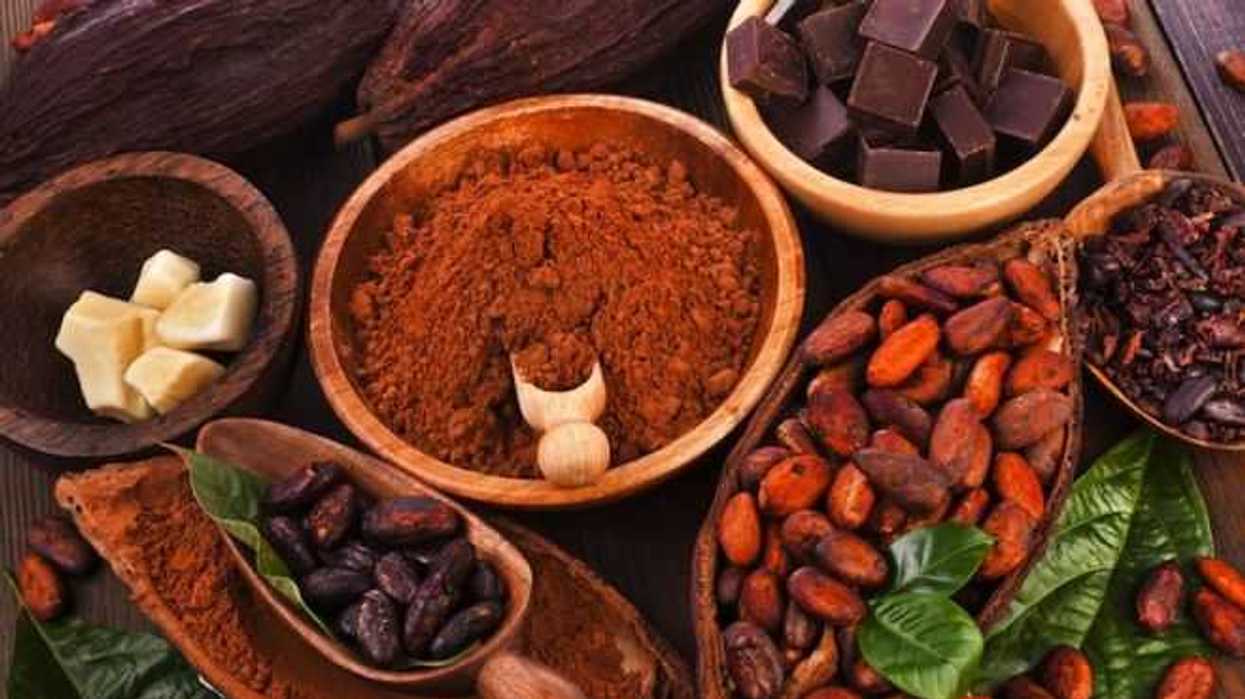 confirman-festival-del-chocolate-en-tabasco