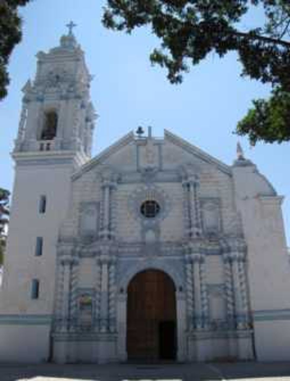 confirman presencia dinosaurios en reserva tehuacan cuicatlan 6