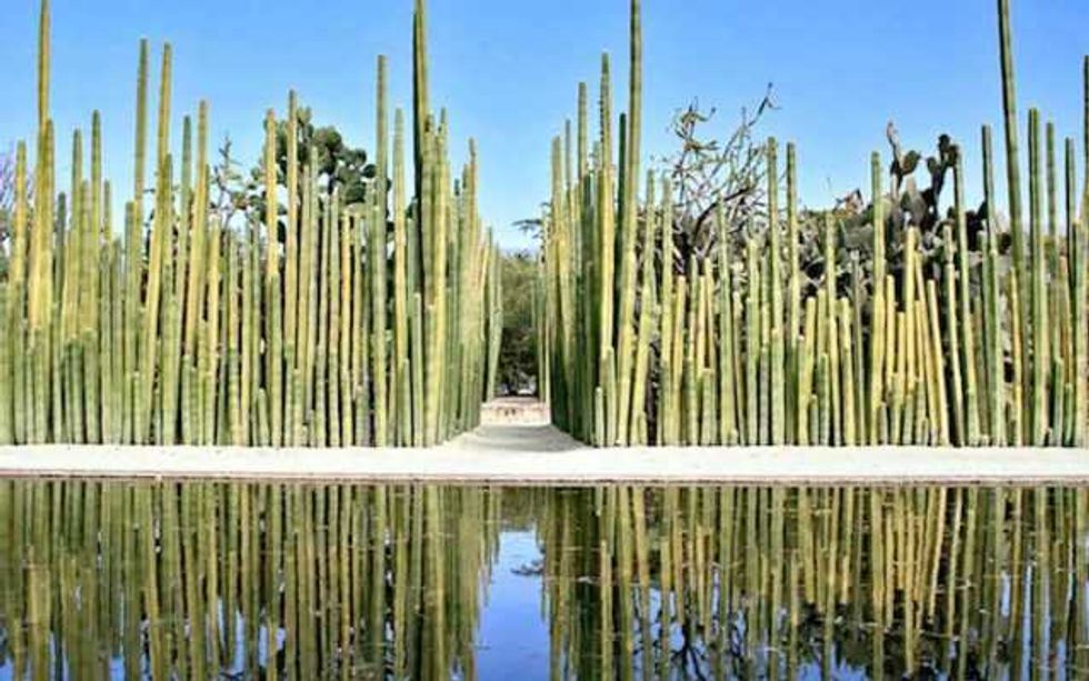 confirman presencia dinosaurios en reserva tehuacan cuicatlan 7