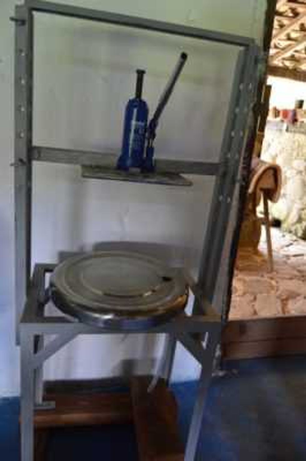 conoce los potenciales la nuez macadamia 3