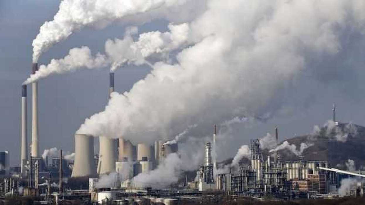 contaminantes-afectan-ecosistemas-1.jpg