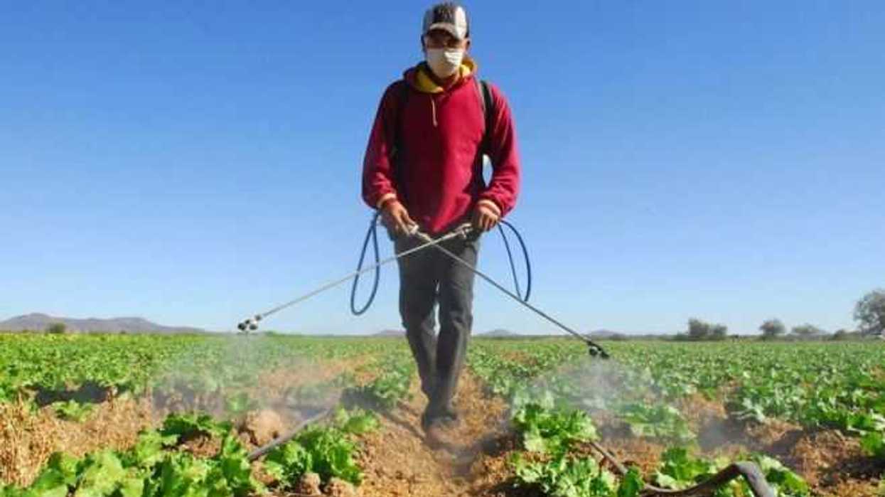 control-biologico-de-plagas-impulsa-a-la-agricultura-de-jalisco-1