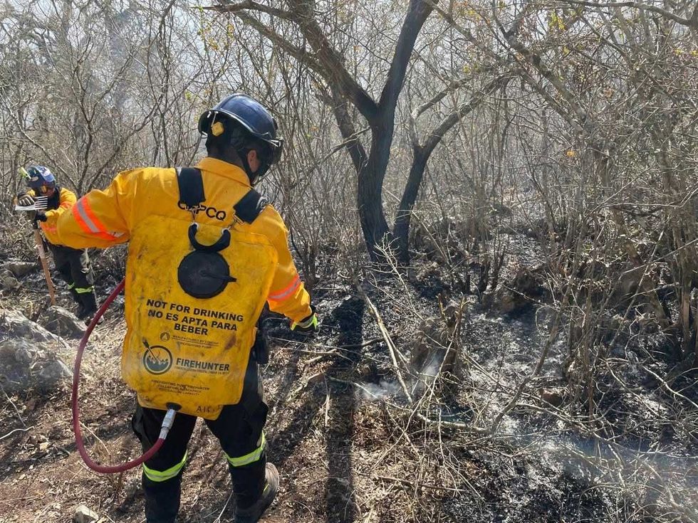 Controlan incendio forestal en La Tinaja; reportan 40 hectáreas afectadas.