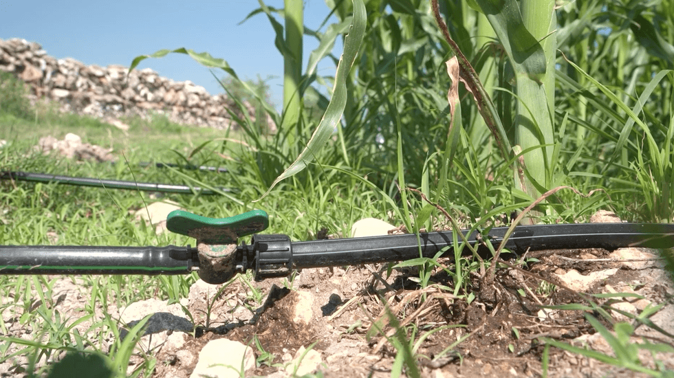 Convenio tripartito integra padr\u00f3n de productores agr\u00edcolas para subsidios energ\u00e9ticos en M\u00e9xico