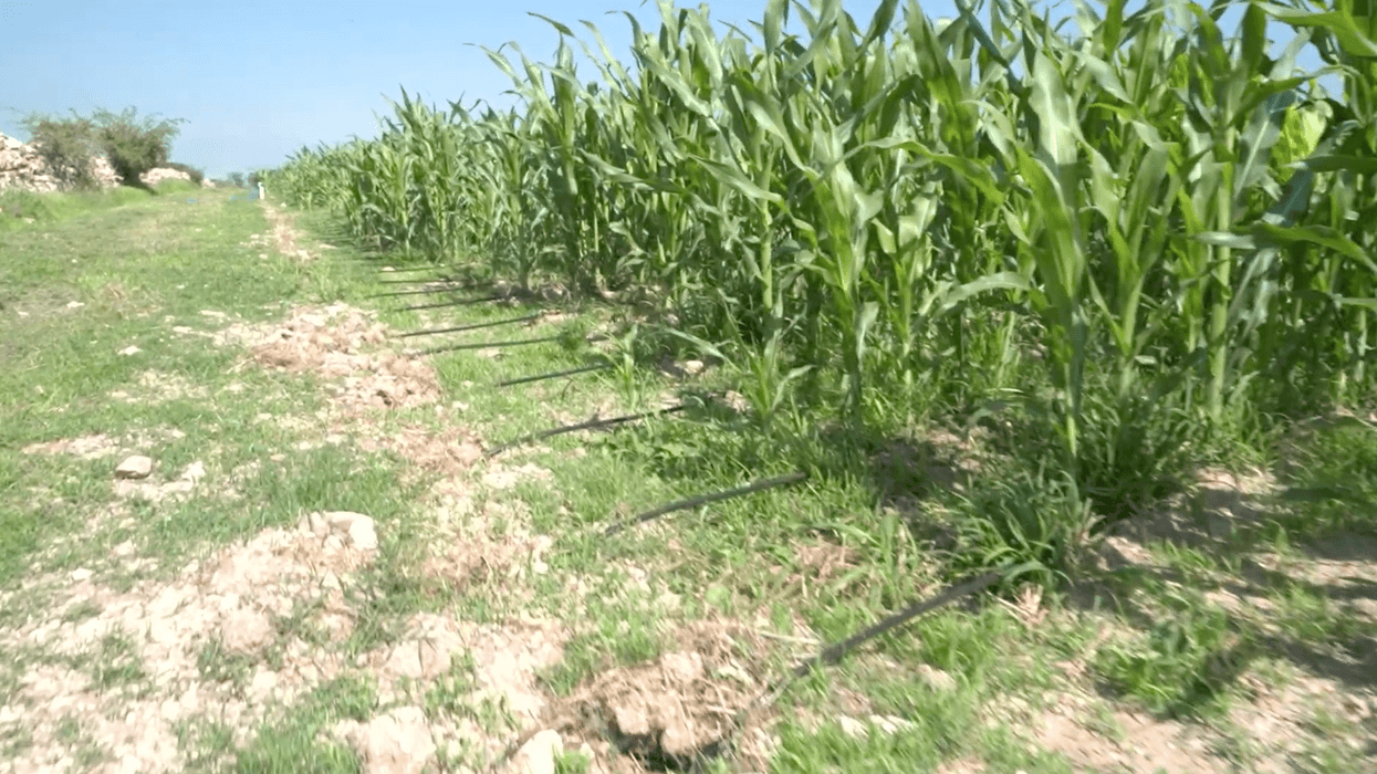 Convenio tripartito integra padrón de productores agrícolas para subsidios energéticos en México