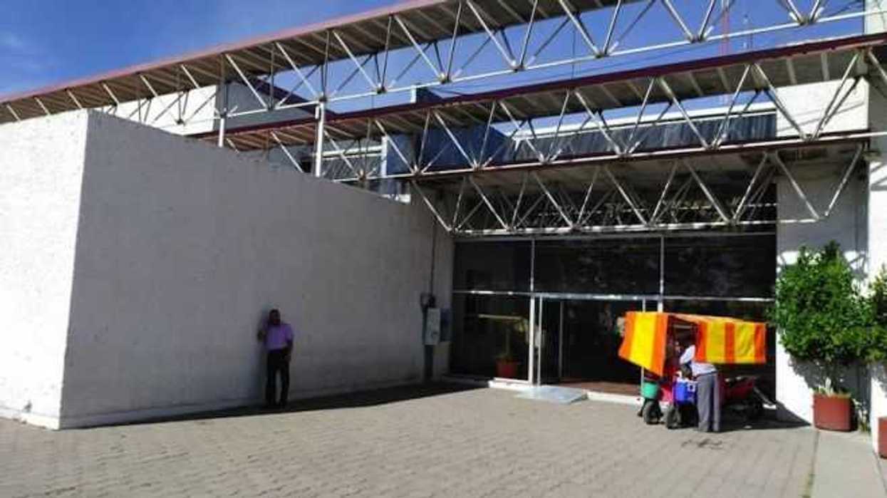 coyote-tramita-visas-en-san-juan-del-rio