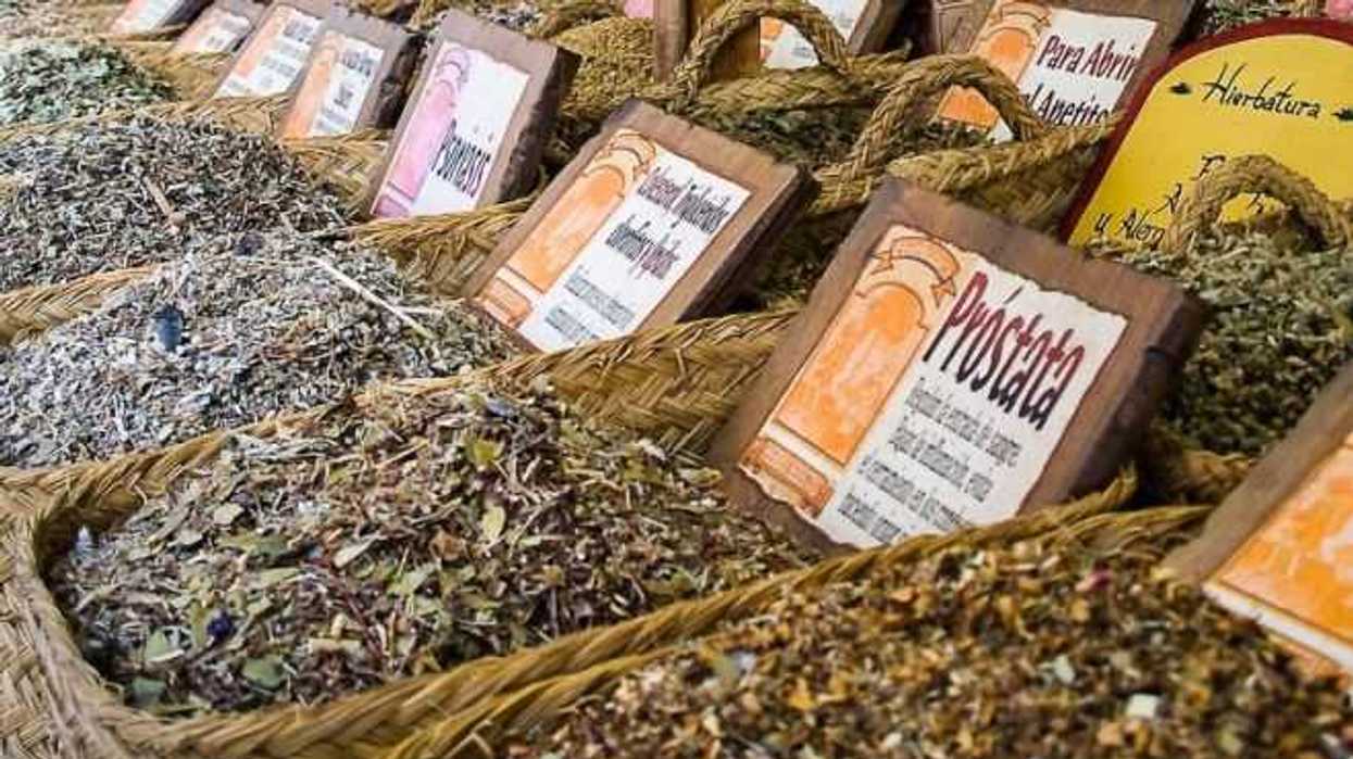 crece-uso-de-herbolaria-tradicional-maya-en-zonas-urbanizadas