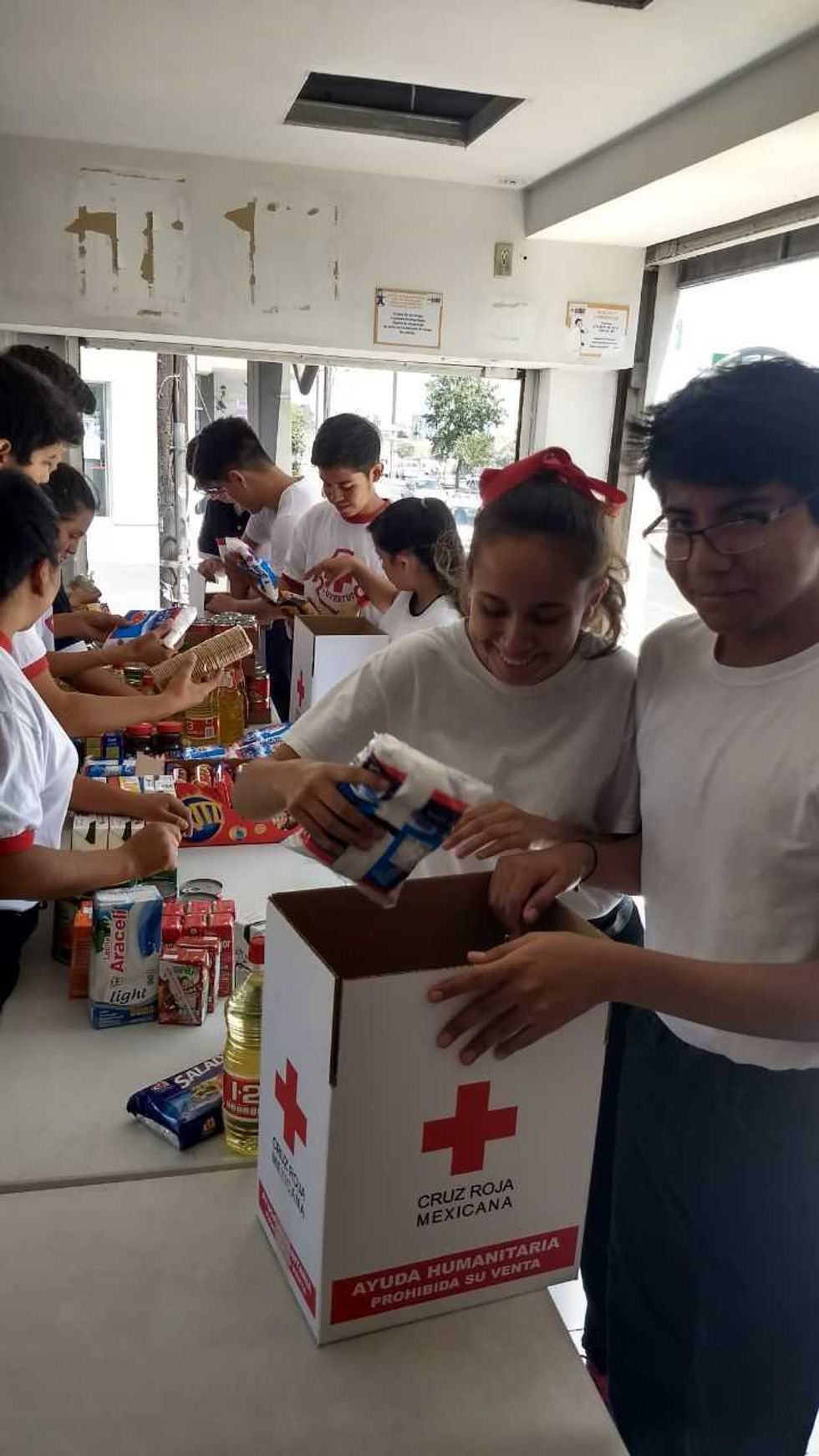 cruz roja san juan del rio 3