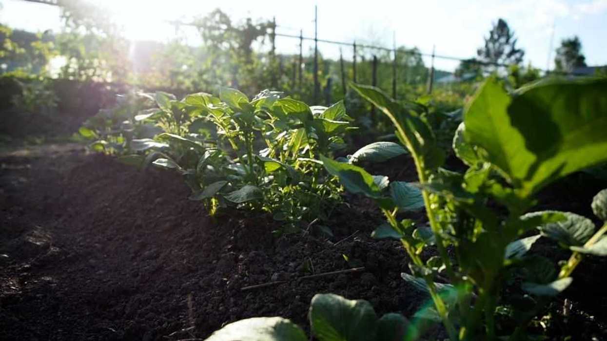 Cuatro plantas de PepsiCo Latinoamérica ya operan sin consumir agua de red pública. EFE.