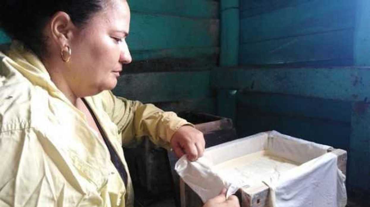 Cuba: Ganadería y emprendimiento sostenible, los sueños de una guajira. FOTO: ILUSTRATIVA/ SEMLAC CUBA.