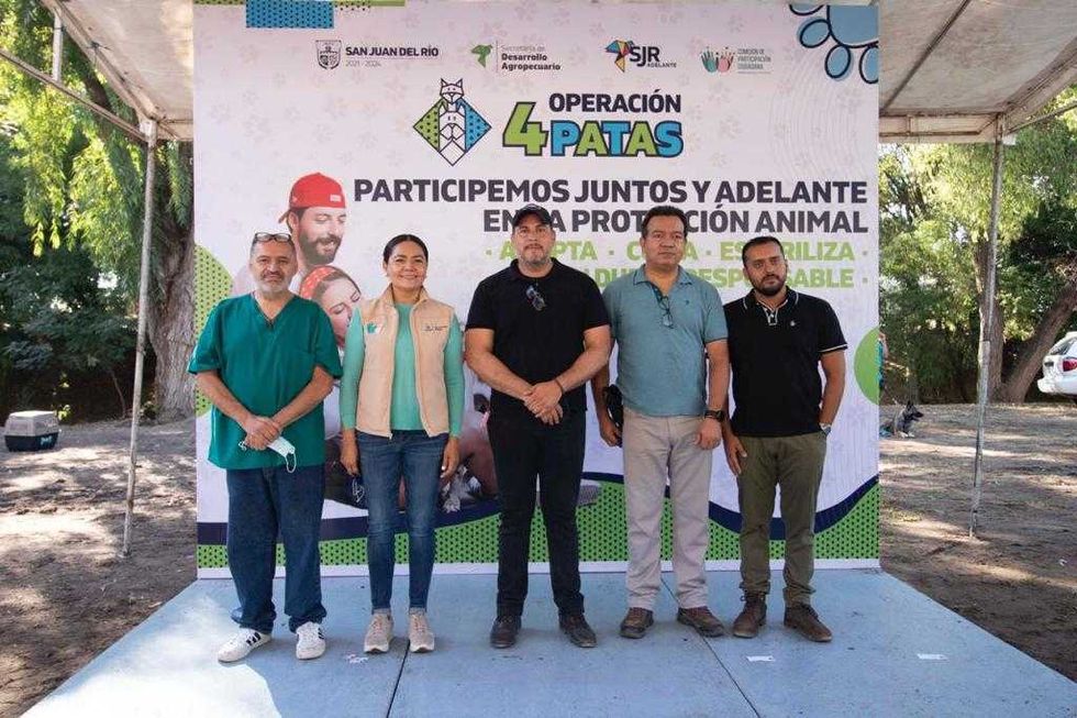 cuidado animal2