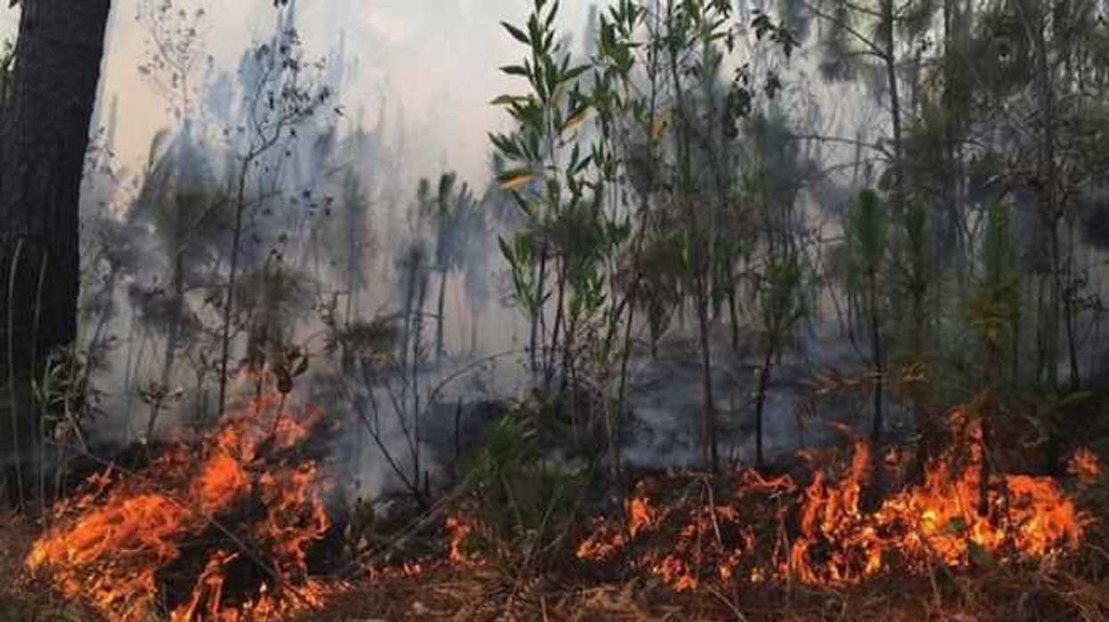 declaran-emergencia-para-27-municipios-de-guerrero-por-incendio