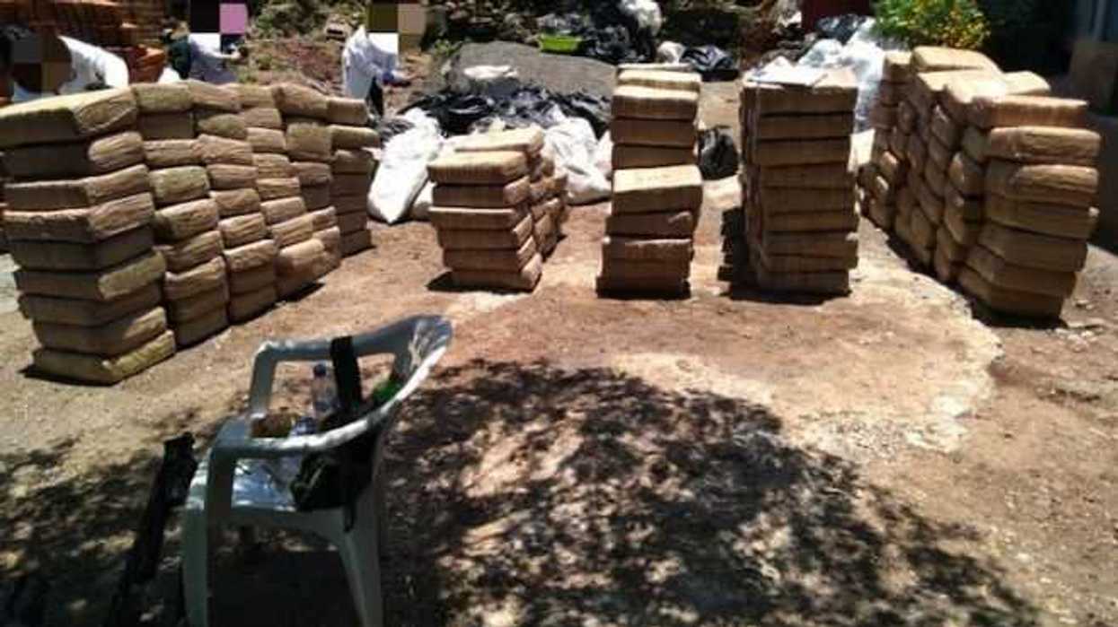 decomisan-mas-de-dos-toneladas-de-marihuana-en-nayarit