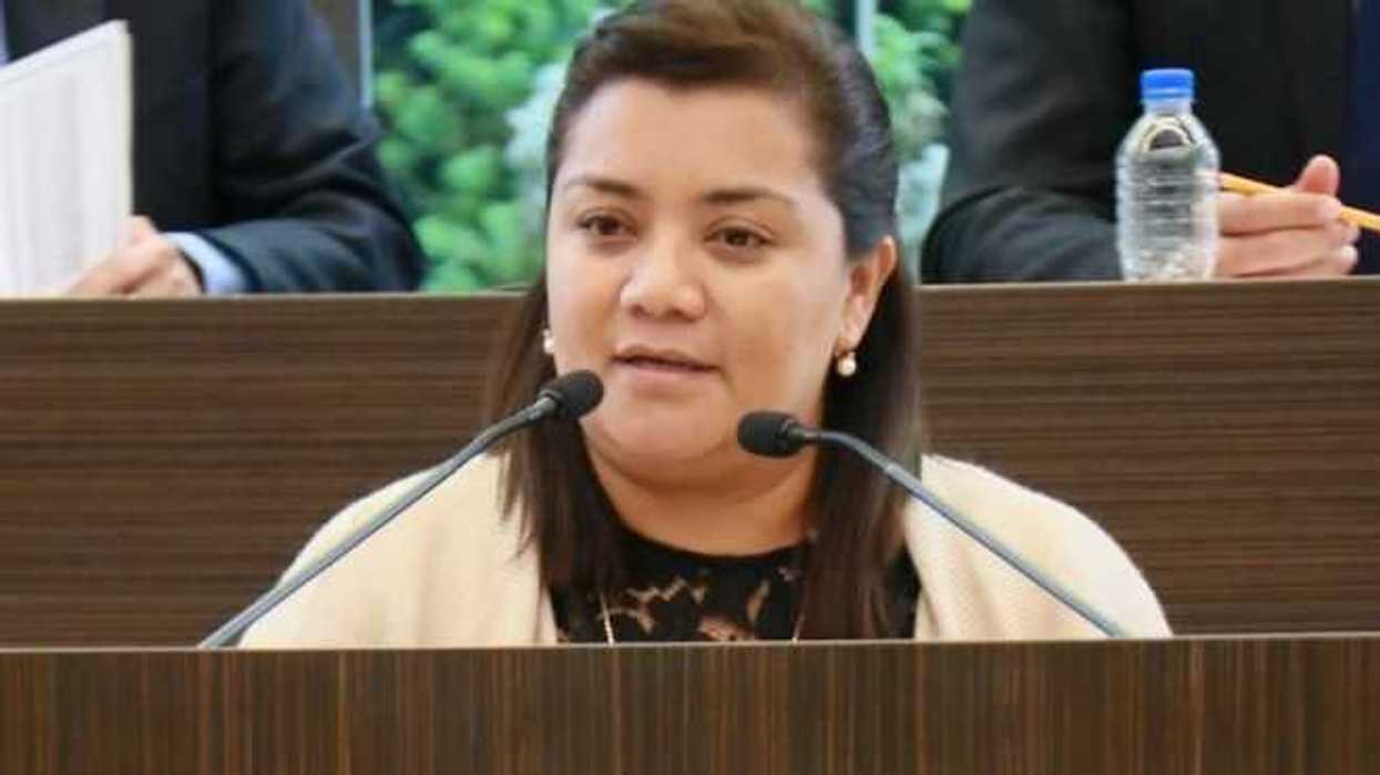 Denuncia diputada tala clandestina en Sierra de Querétaro