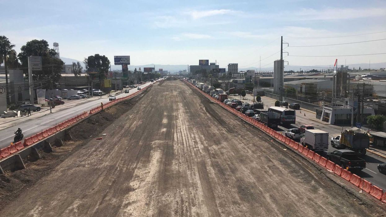 Derivado de las obras de Avenida 5 de febrero, se han retirado y trasplantado 583 árboles y palmeras, de las cuales, el 92 por ciento ha sobrevivido.