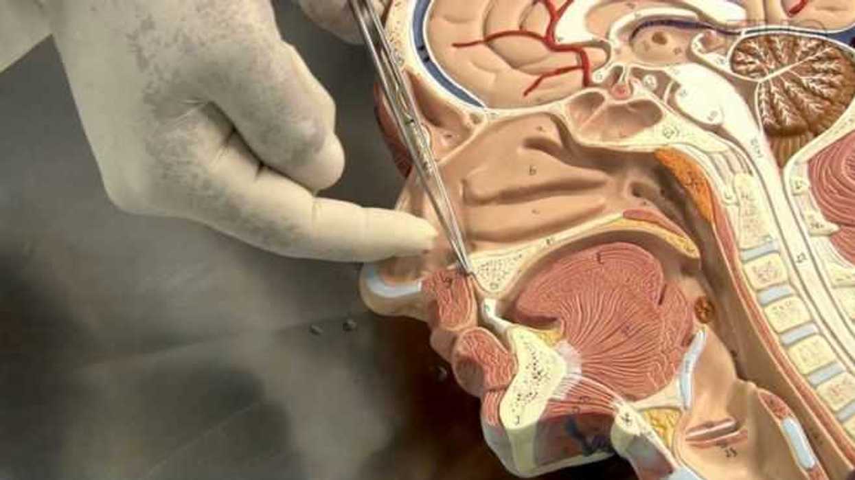 desarrollan-una-nariz-electronica-para-monitoreo-de-diabetes-mellitus