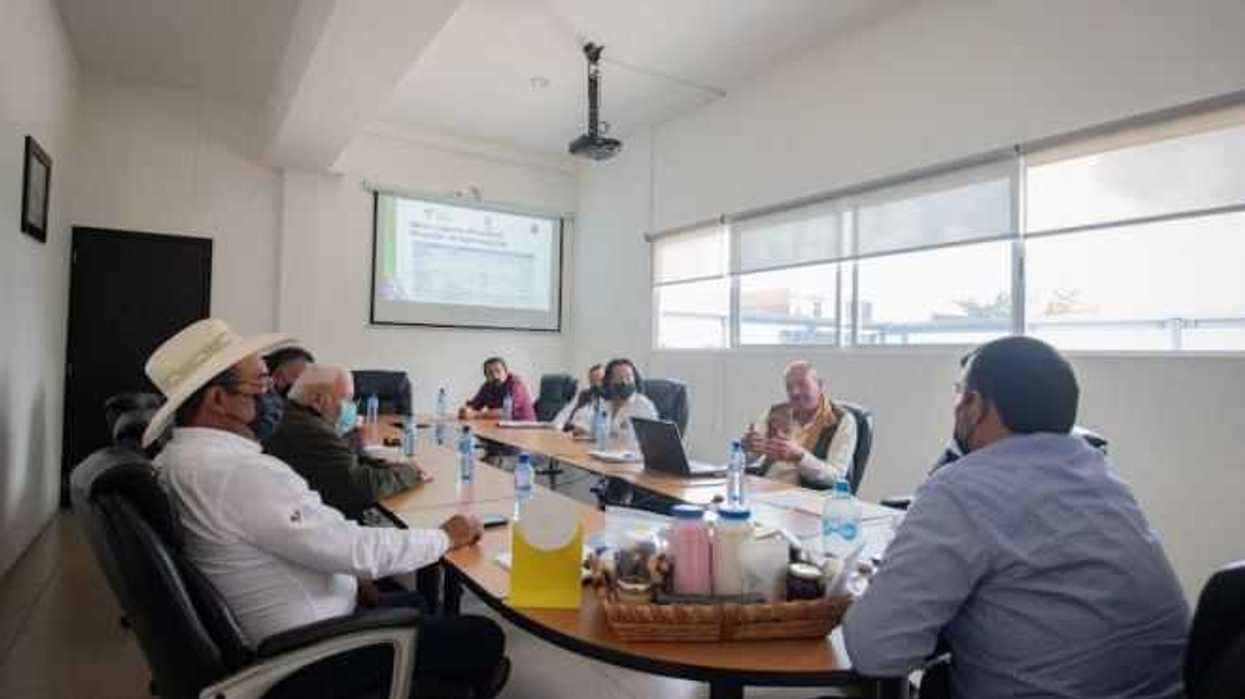 desarrollo-agropecuario