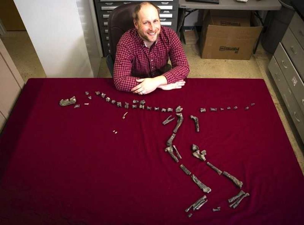 descubren diminuto dinosaurio pariente del tyranosaurio rex 3