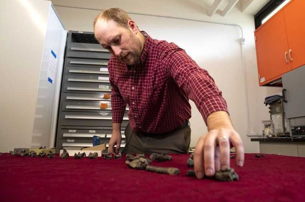 descubren diminuto dinosaurio pariente del tyranosaurio rex