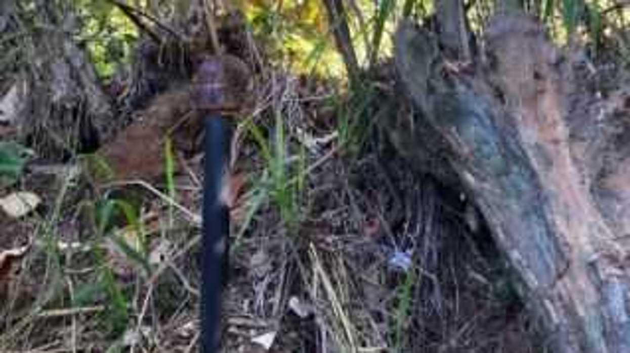 Descubren toma clandestina de huachicol en Chiapas.