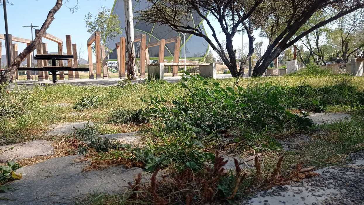 Descuidado, parque ecológico ‘Las Garzas’ en San Juan del Río.