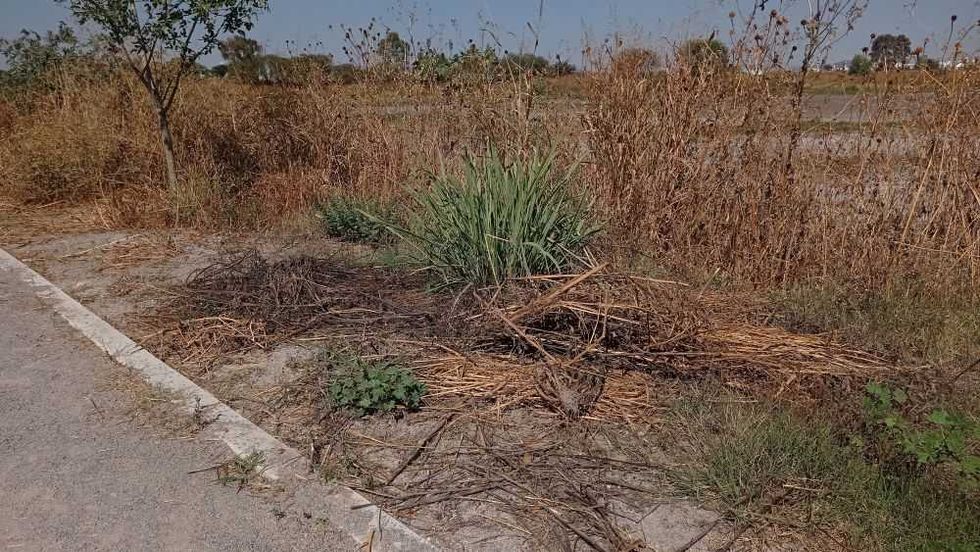 Descuidado, parque ecológico ‘Las Garzas’ en San Juan del Río.
