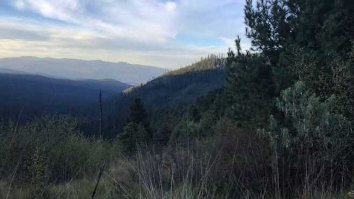 desierto-de-los-leones-un-bosque-de-mil-800-hectarea