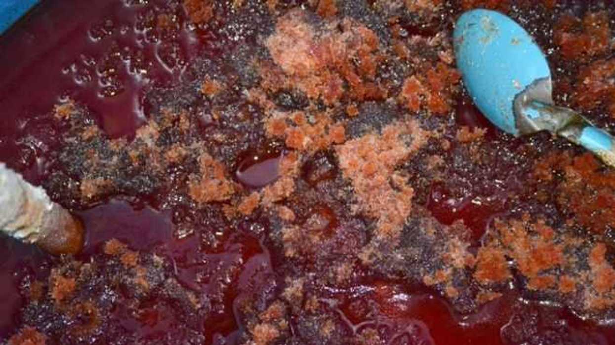 Desmantela Ejército y PGR sitio donde fabricaban droga en Querétaro.