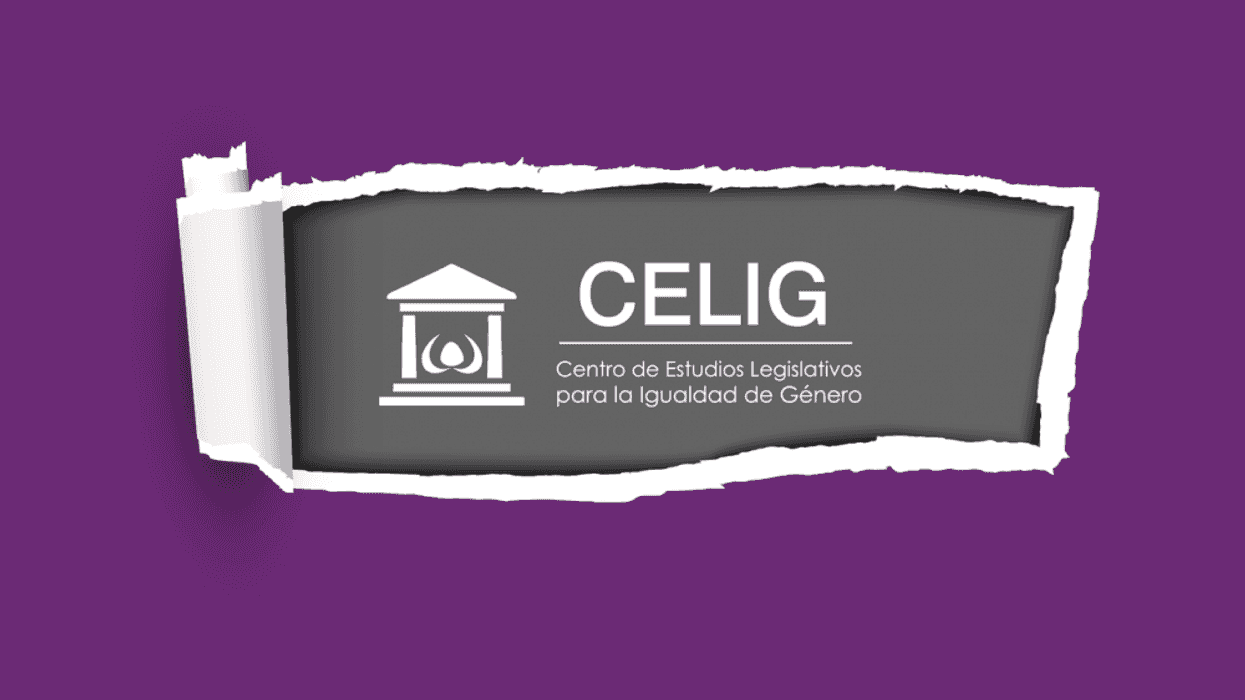 Desmantelamiento del Celig viola acuerdos internacionales, reclaman fundadoras. Foto: Ilustrativa/ Facebook/CELIG CDMX.