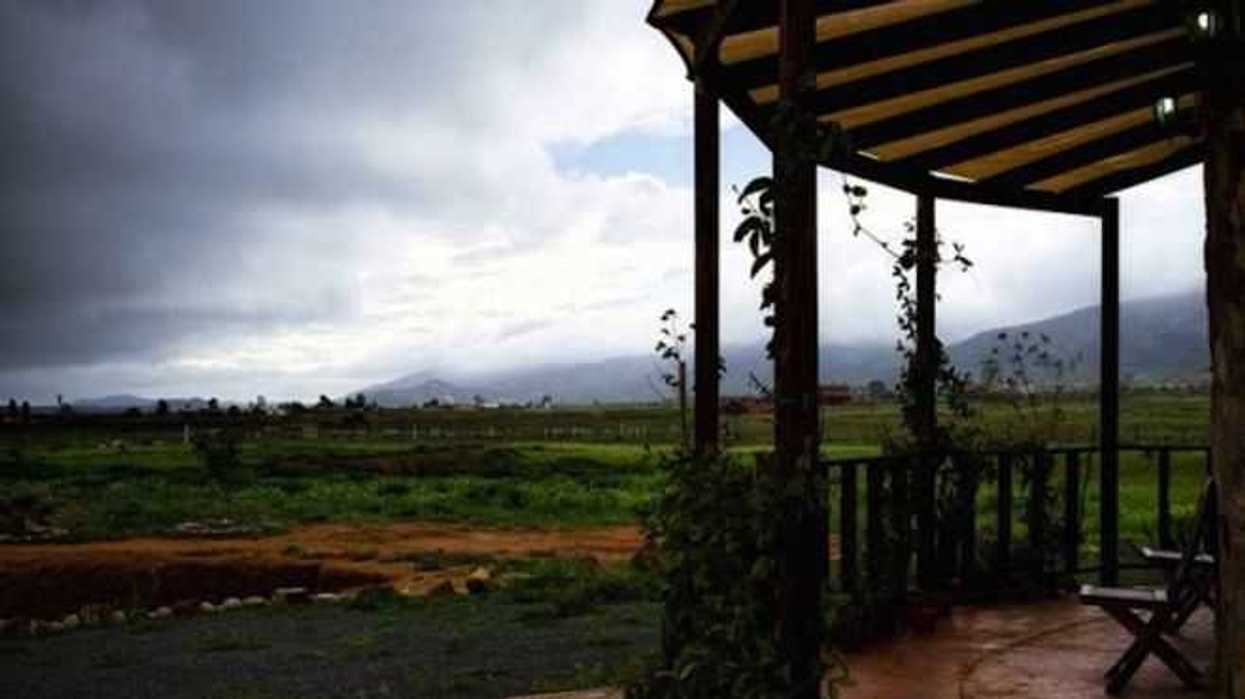 destaca-ruta-del-vino-baja-california-a-nivel-mundial