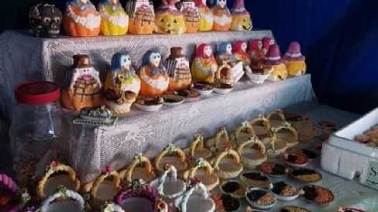 Día de Muertos, ¿cuándo poner ofrenda a nuestras mascotas?.