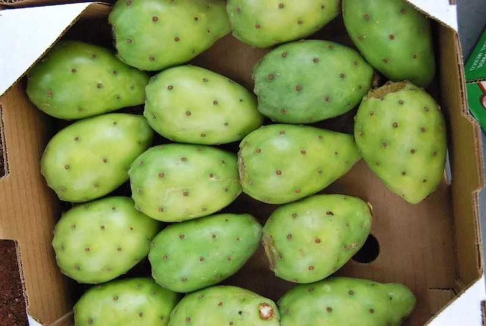 dichos y refranes con nahuatlismos dan identidad a los mexicanos 7